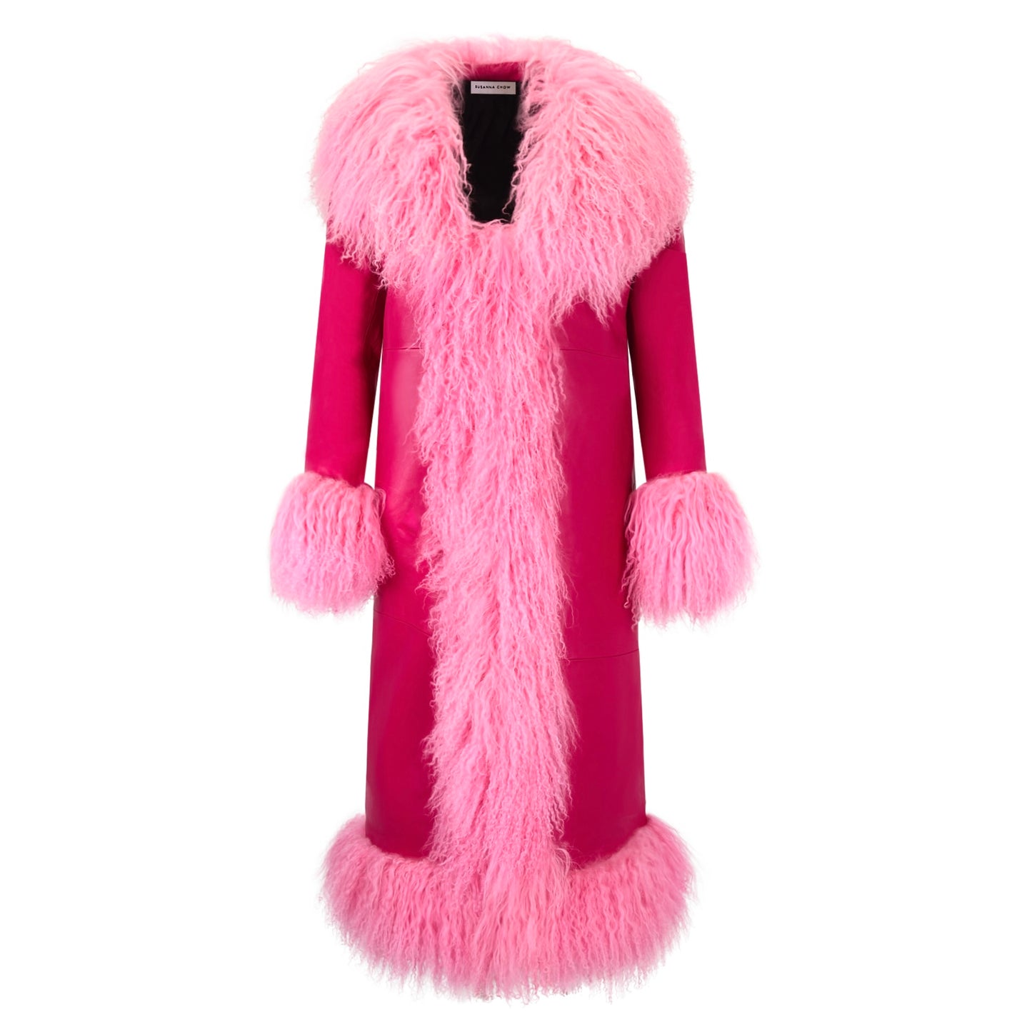 Dorothy Leather Shearling Maxi Coat