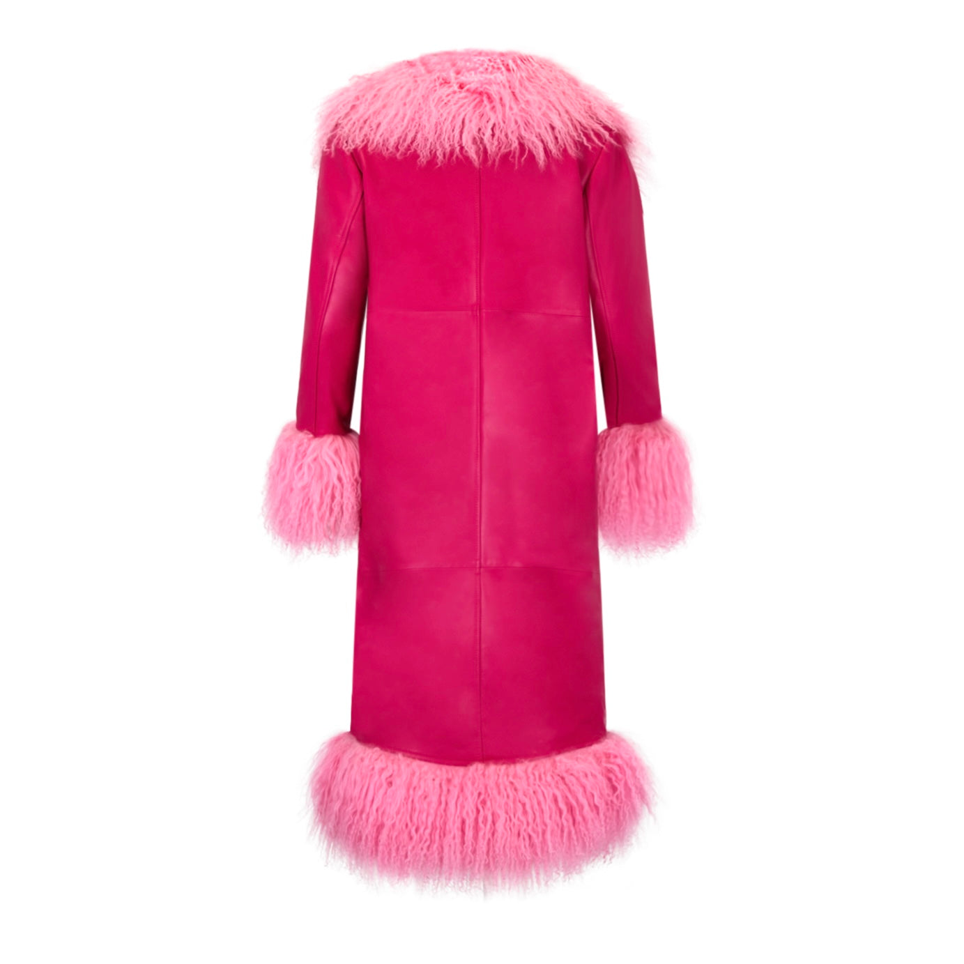 Dorothy Leather Shearling Maxi Coat