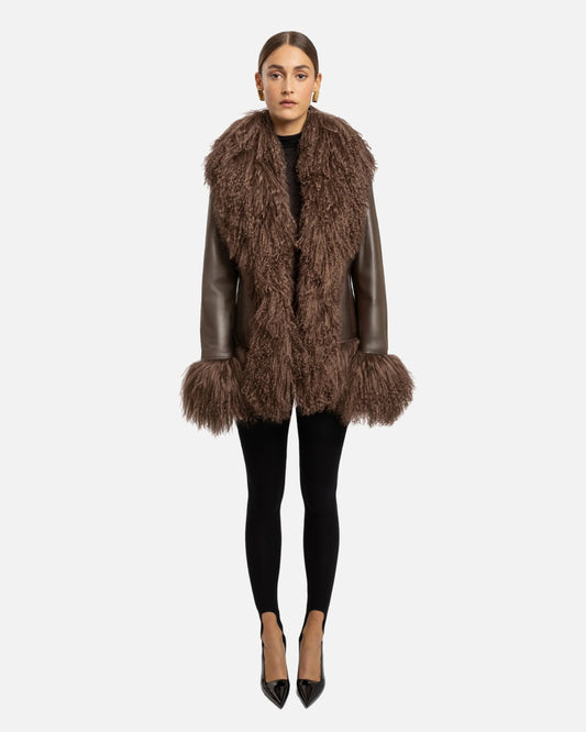 Dorothy Leather Shearling Coat