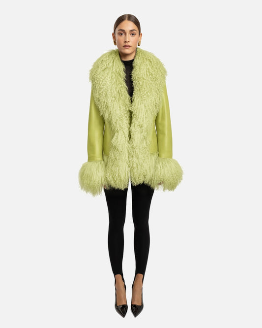 Dorothy Leather Shearling Coat