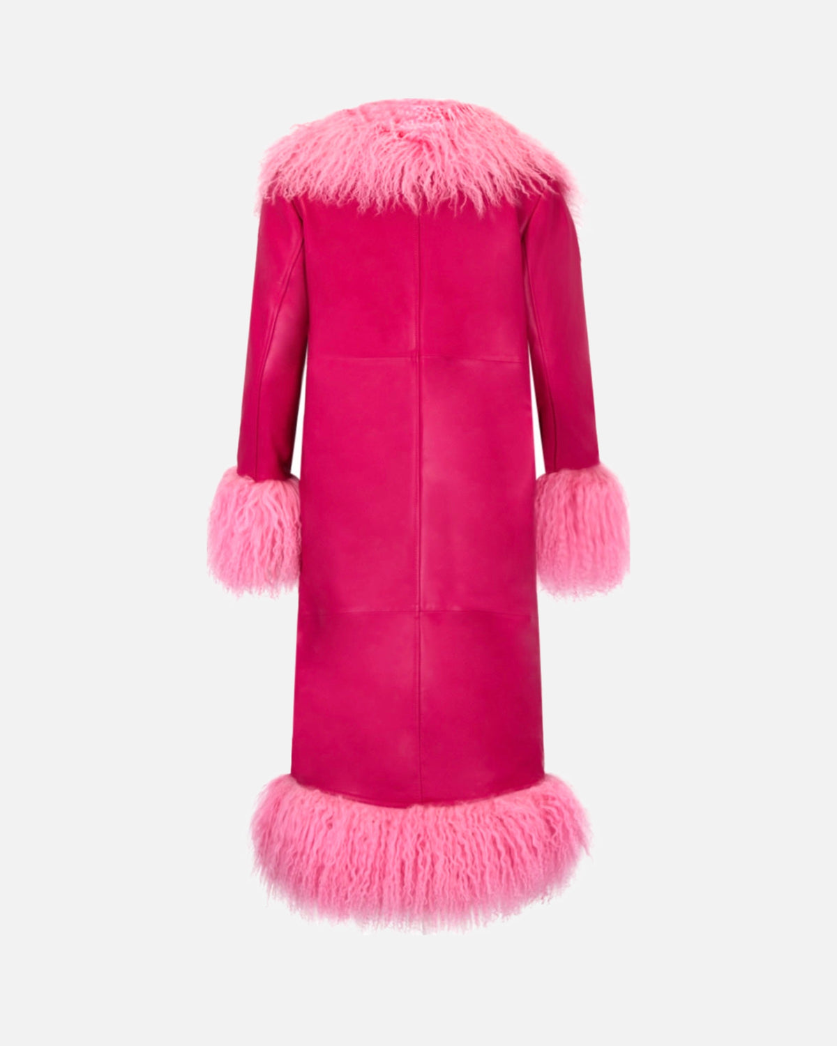 Dorothy Leather Shearling Maxi Coat