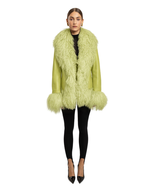 Dorothy Leather Shearling Coat