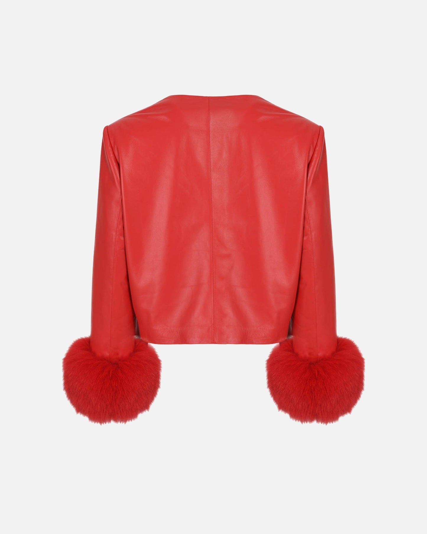 Dawson Leather Shearling Trim Jacket