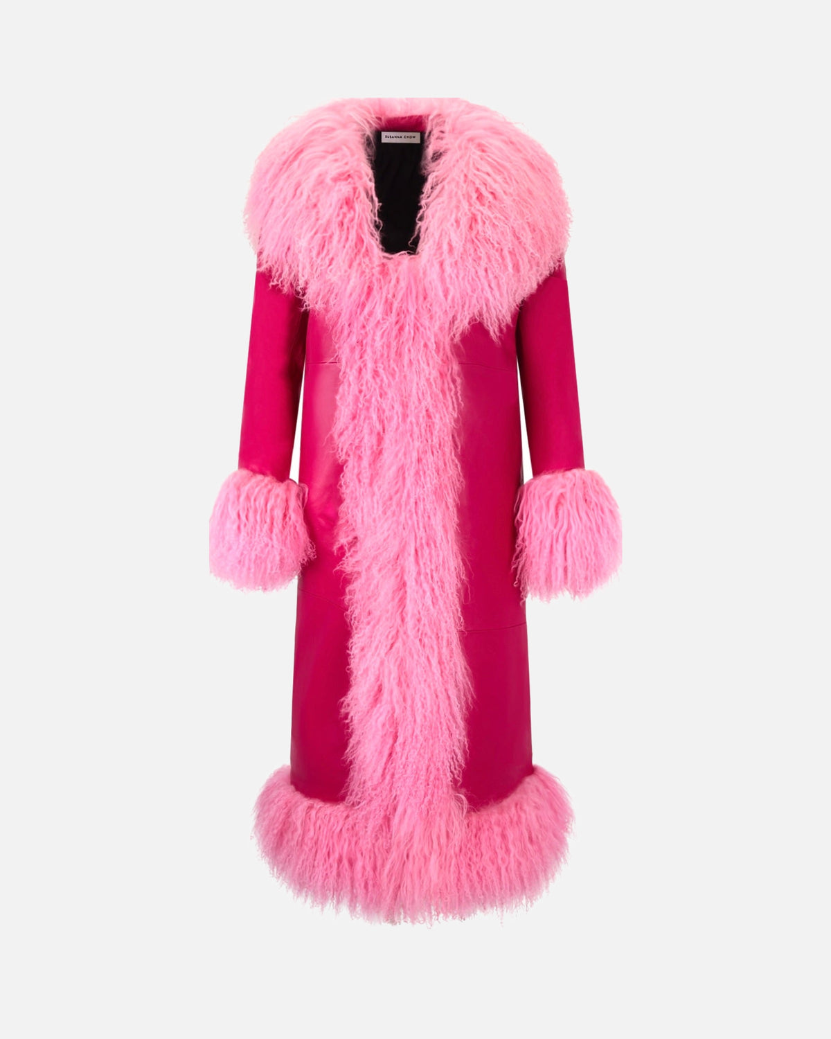 Dorothy Leather Shearling Maxi Coat