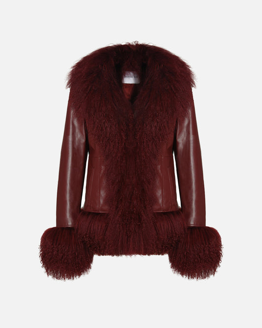 Dorothy Leather Shearling Coat