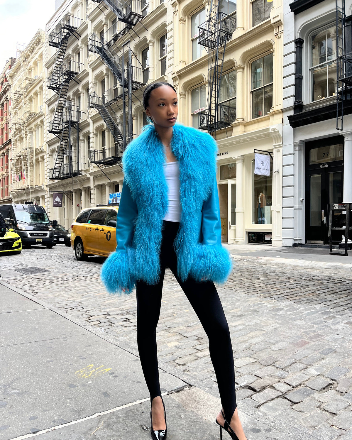 Dorothy Leather Shearling Coat