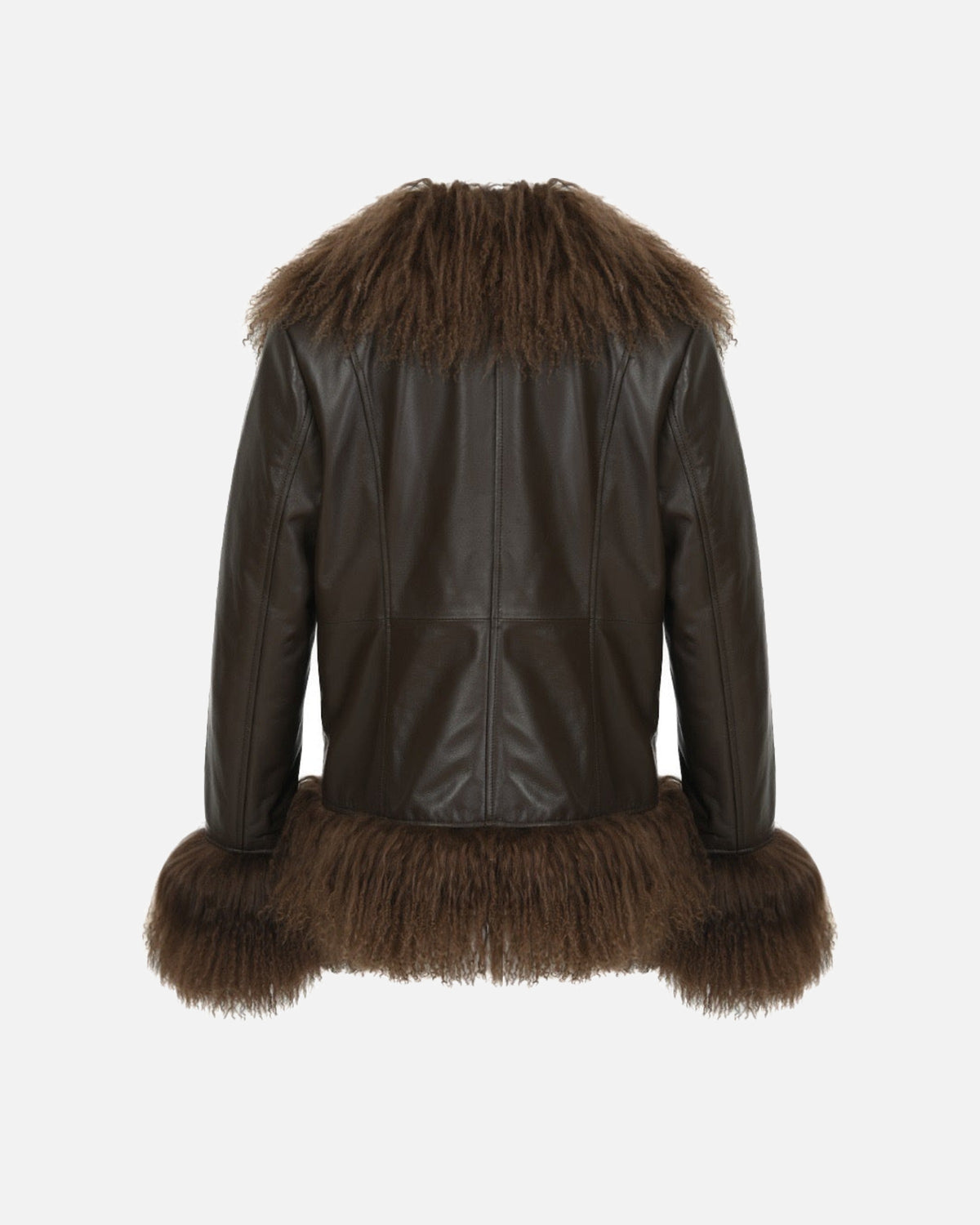Dorothy Leather Shearling Coat