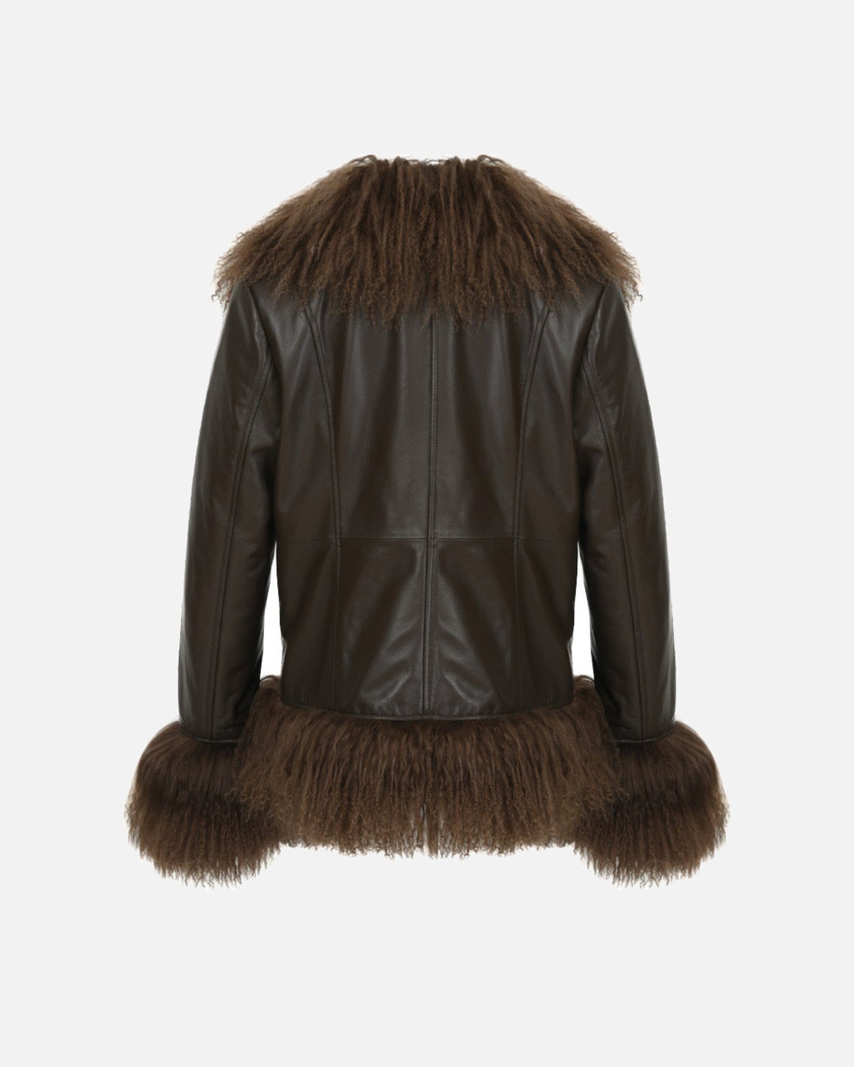 Dorothy Leather Shearling Coat