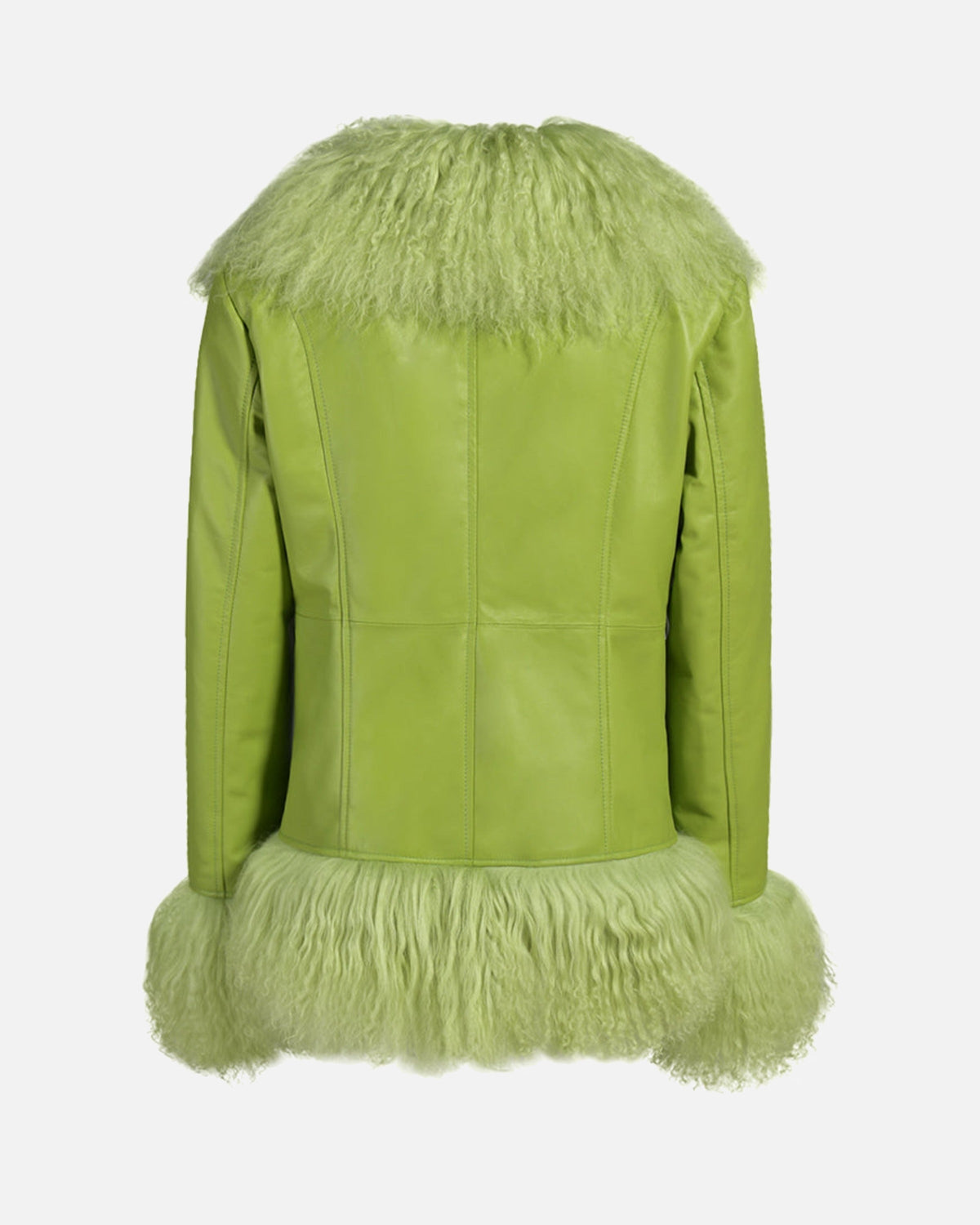 Dorothy Leather Shearling Coat
