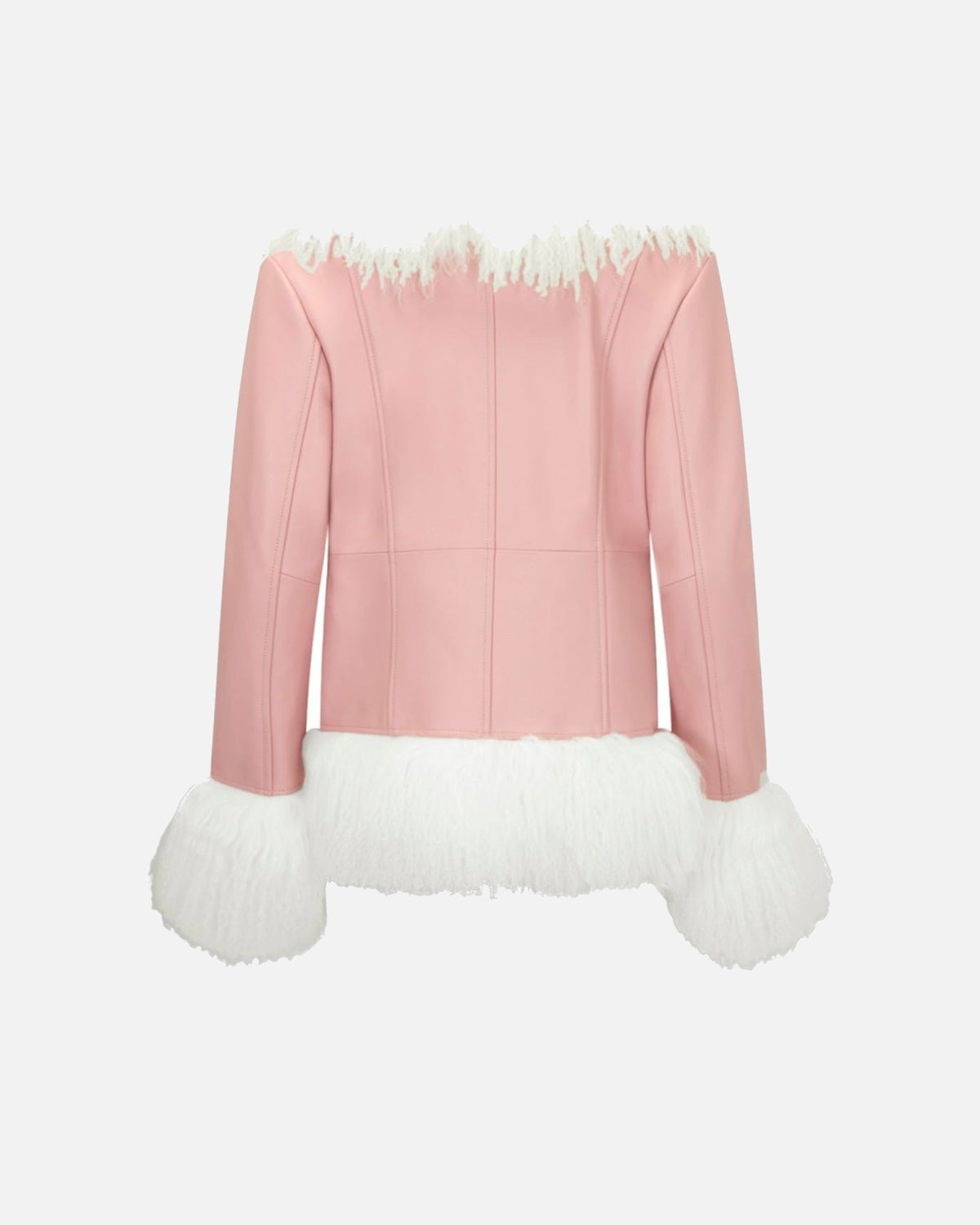 Dorothy Leather Shearling Coat