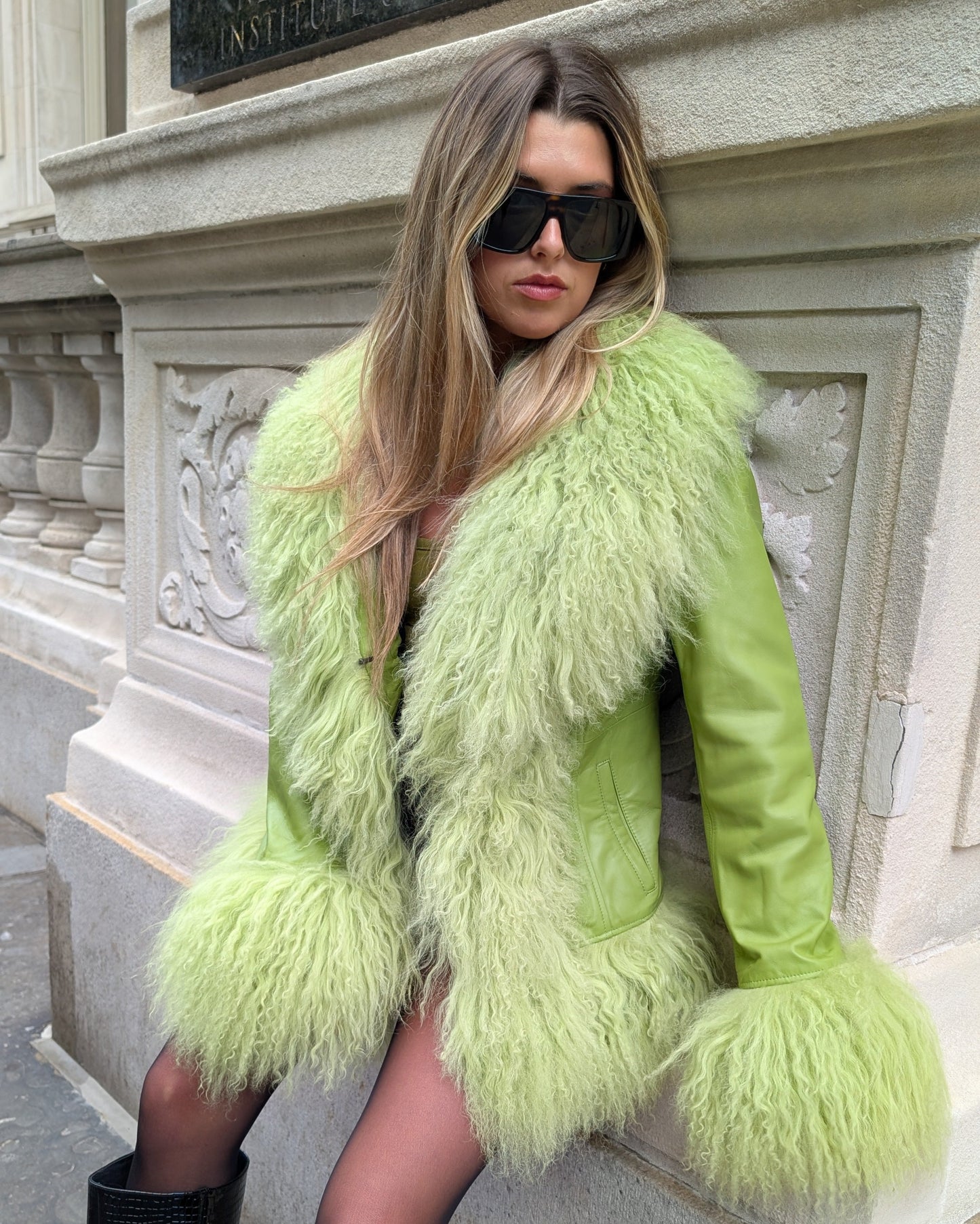 Dorothy Leather Shearling Coat