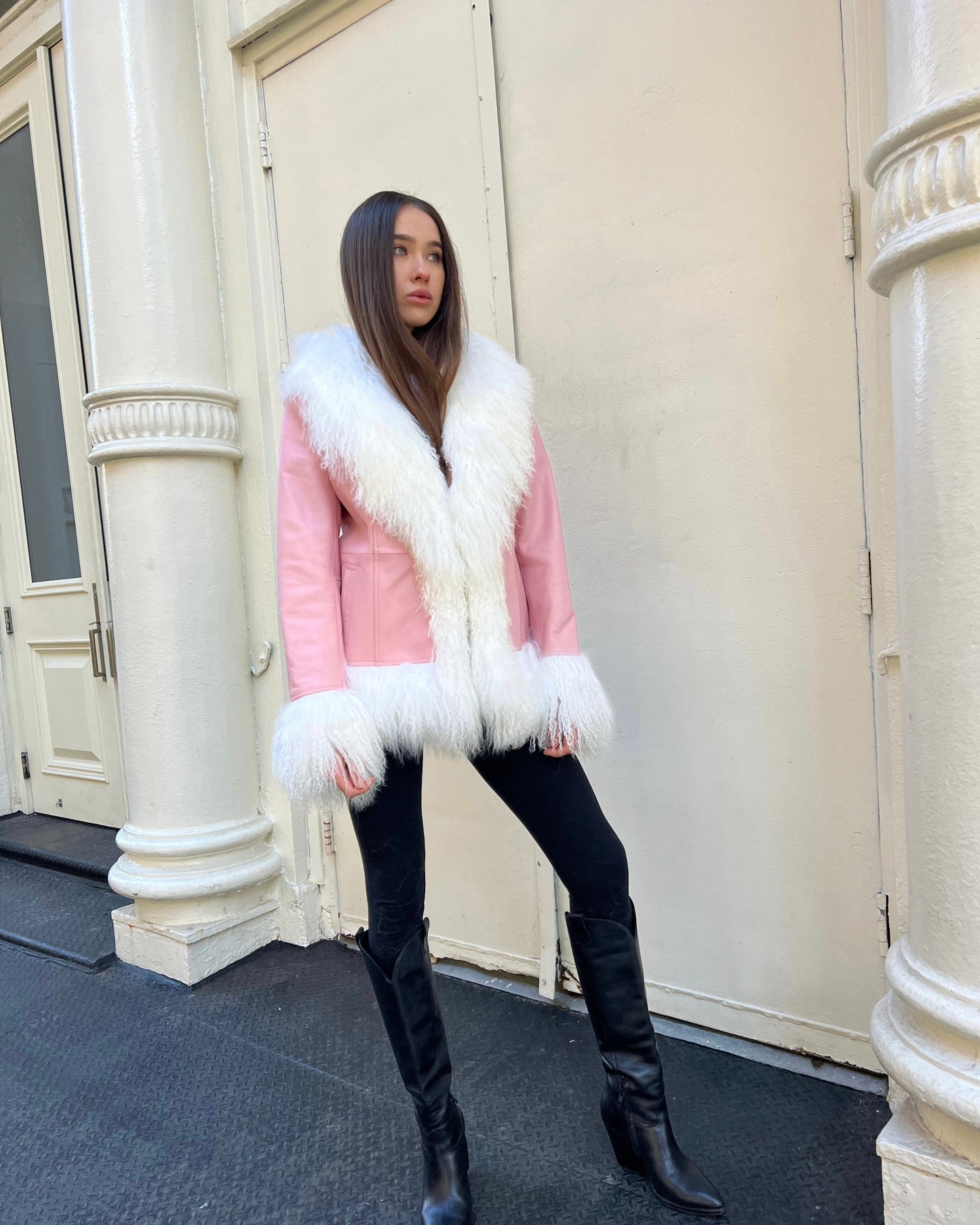 Dorothy Leather Shearling Coat