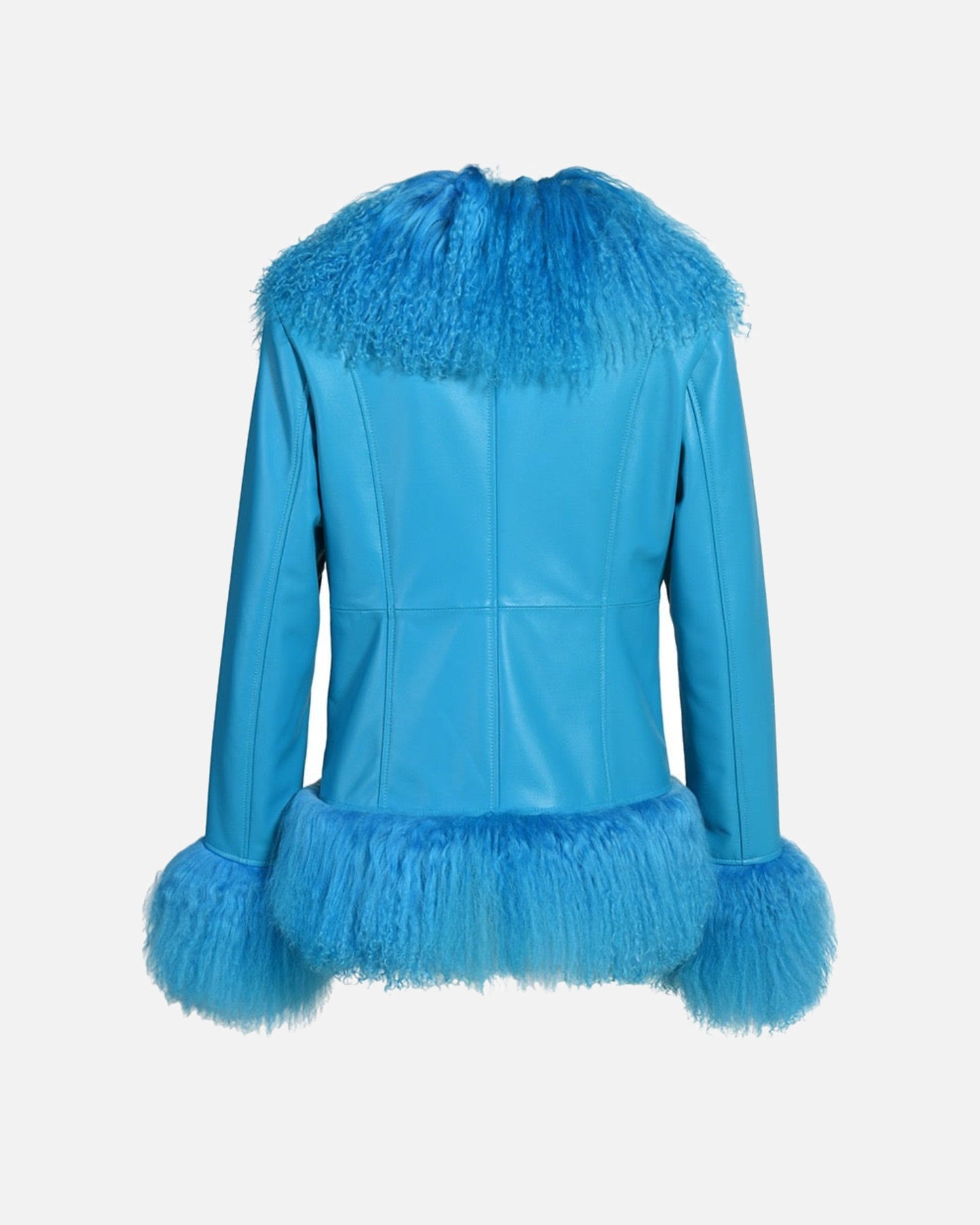 Dorothy Leather Shearling Coat