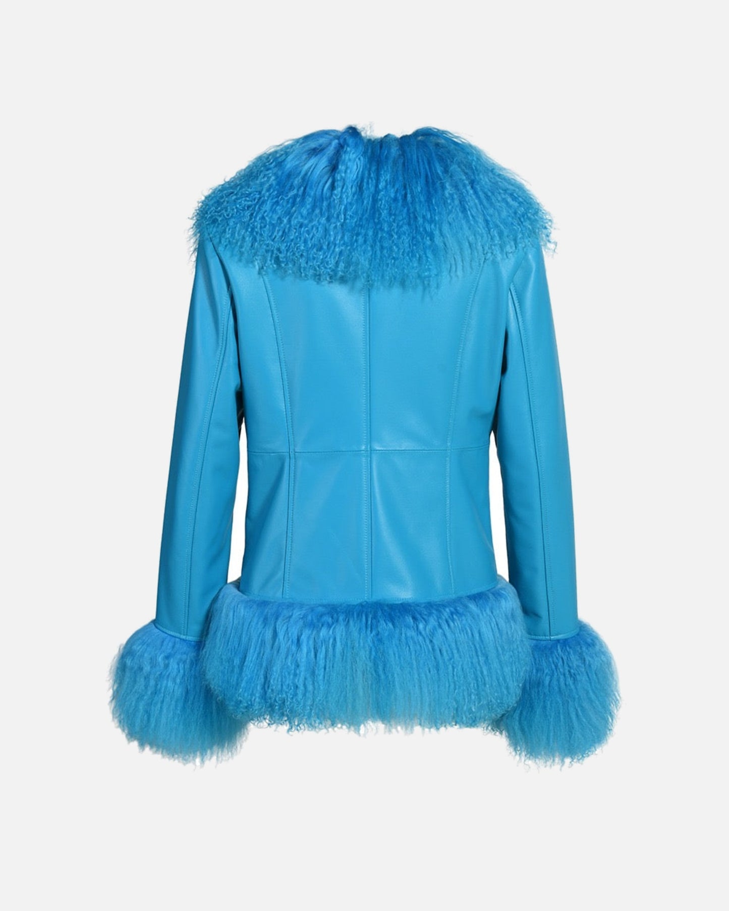 Dorothy Leather Shearling Coat