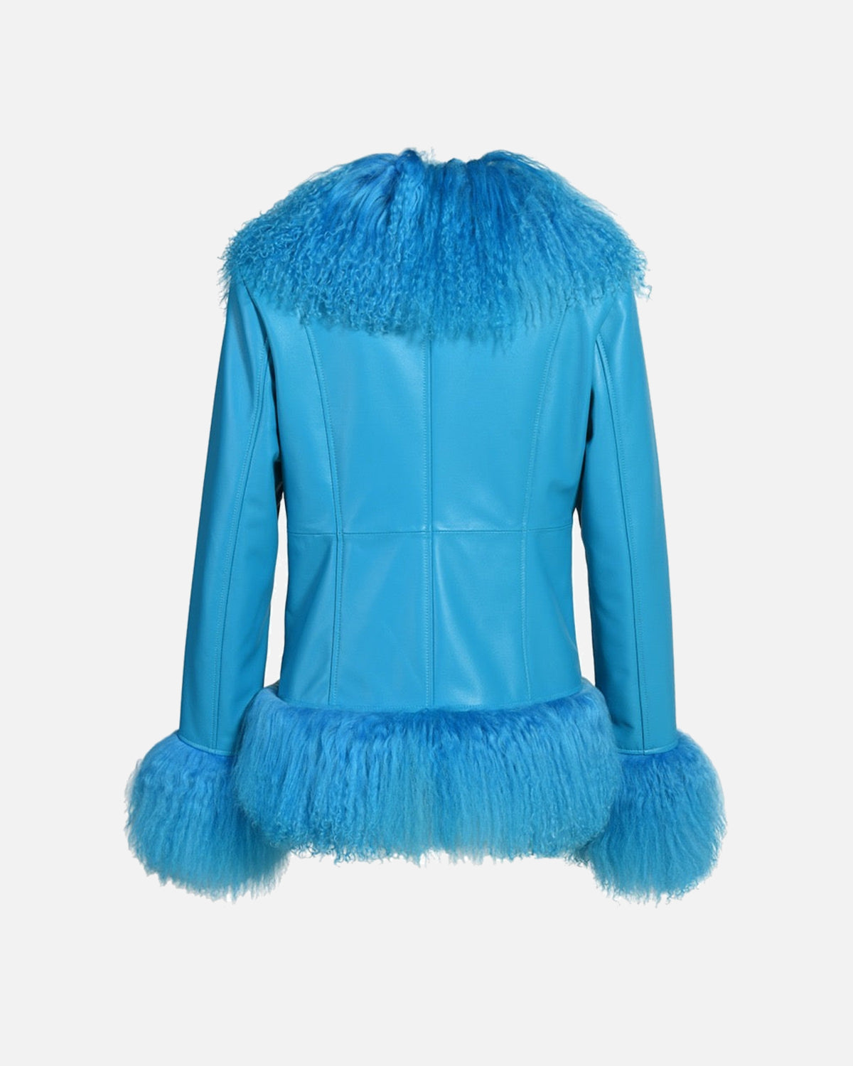 Dorothy Leather Shearling Coat