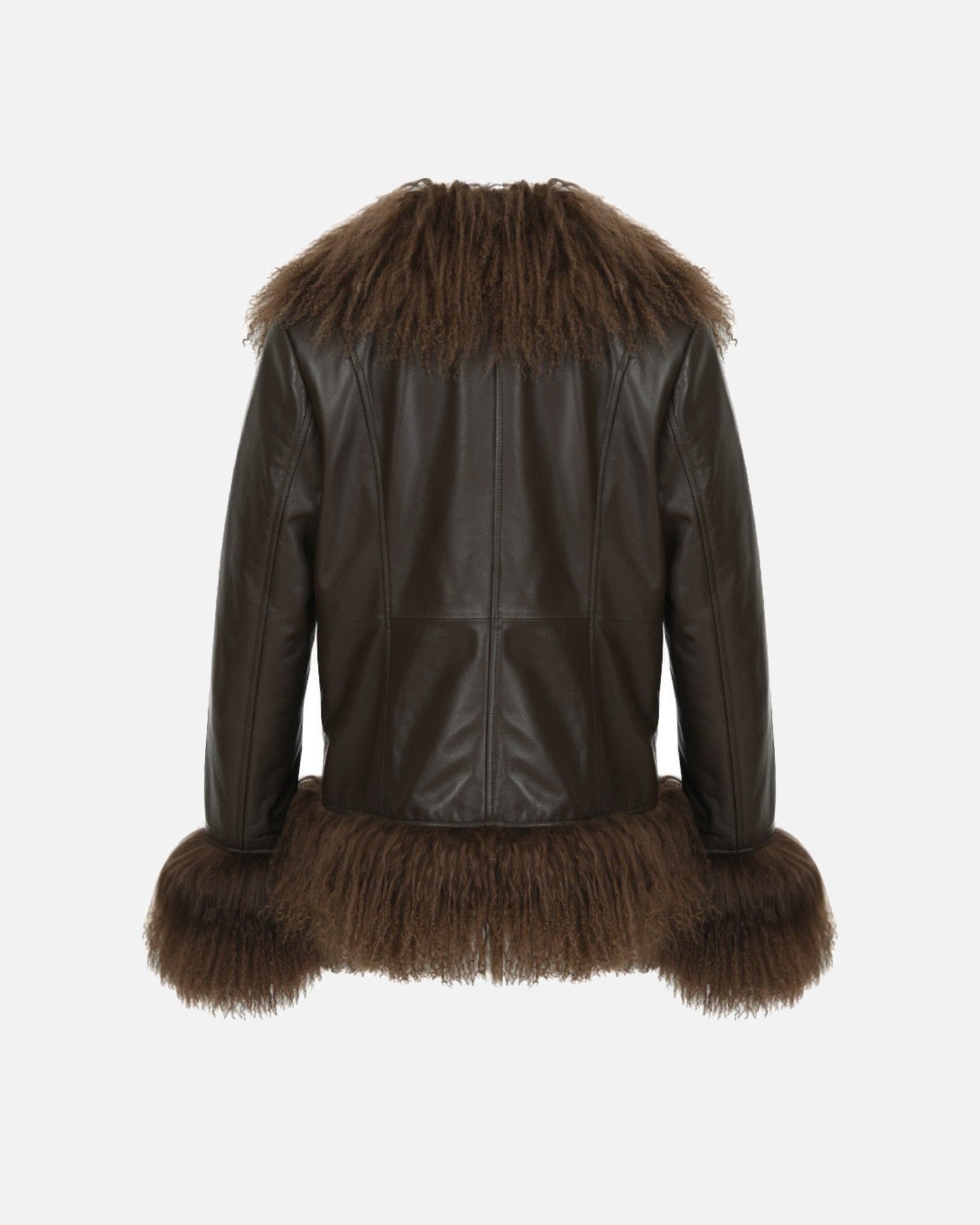Dorothy Leather Shearling Coat