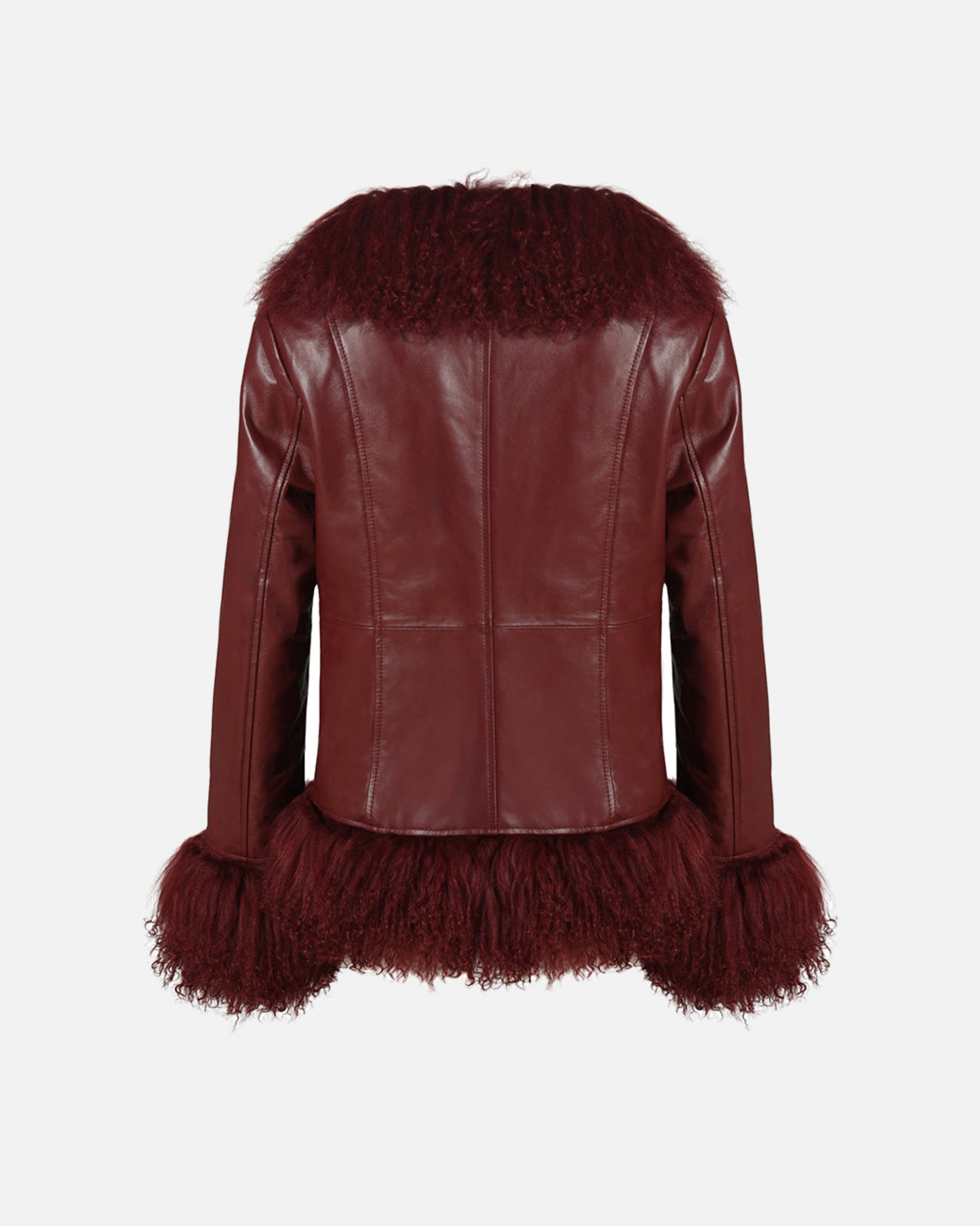 Dorothy Leather Shearling Coat