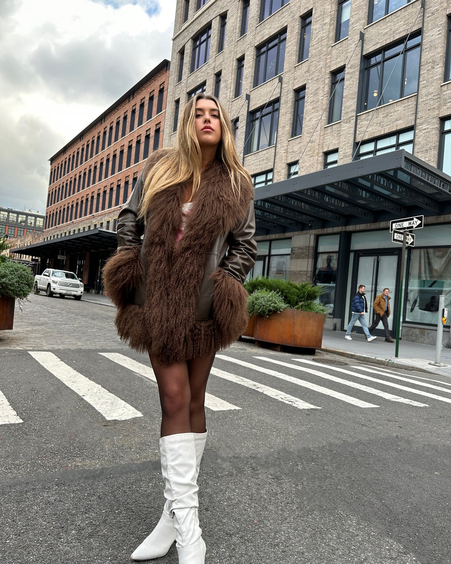 Dorothy Leather Shearling Coat
