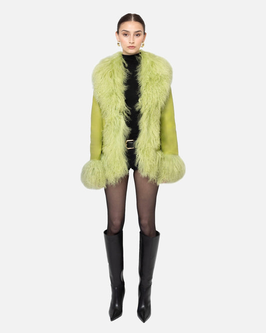 Dorothy Leather Shearling Coat