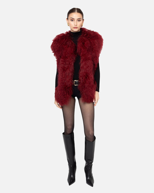 Dorothy Suede Shearling Vest